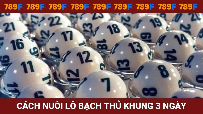 Cách nuôi lô bạch thủ khung 3 ngày rinh thưởng khủng