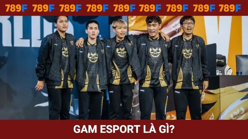 Đội tuyển GAM là gì?