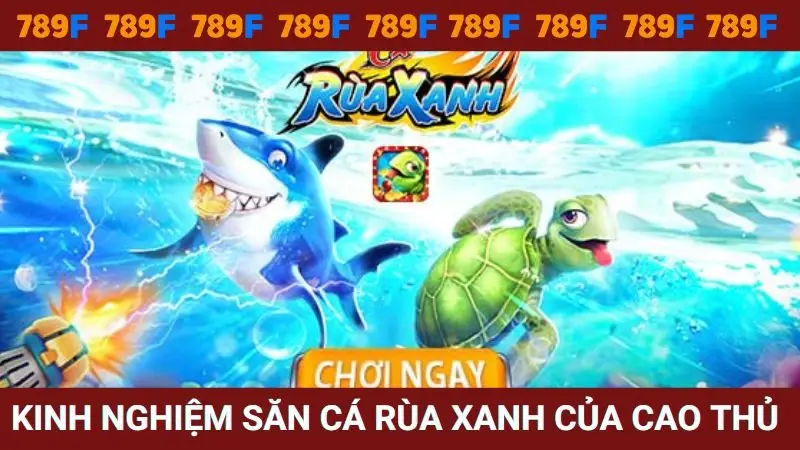 Bỏ túi kinh nghiệm bắn cá rùa của cao thủ hàng đầu