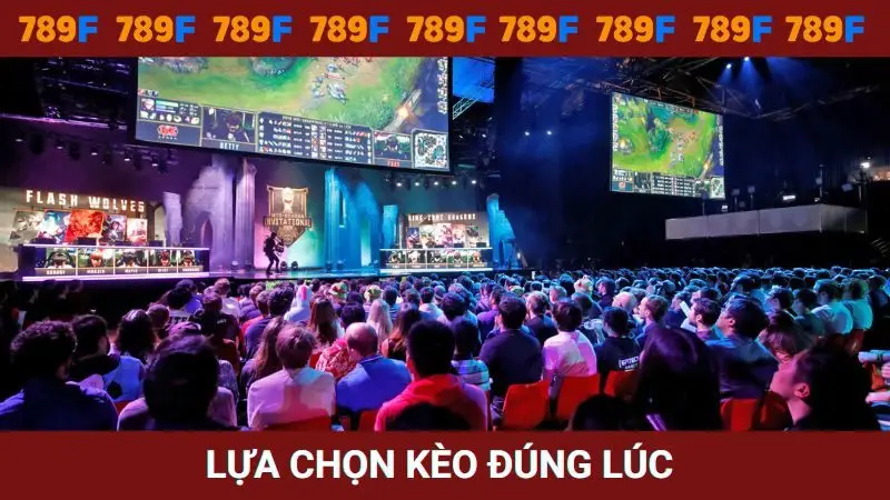 Lựa chọn kèo đúng lúc
