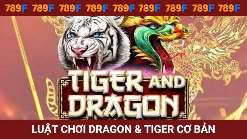 Luật chơi Dragon & Tiger cơ bản cho người mới