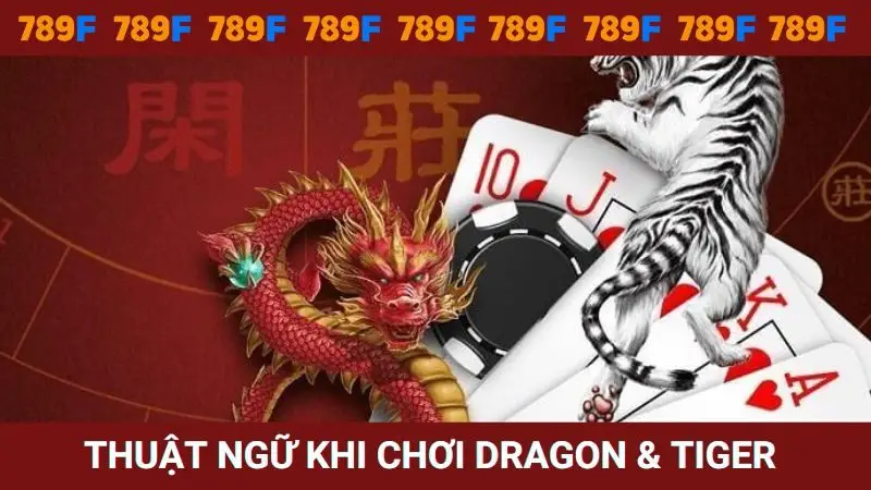 Một số thuật ngữ nên biết khi chơi Dragon & Tiger