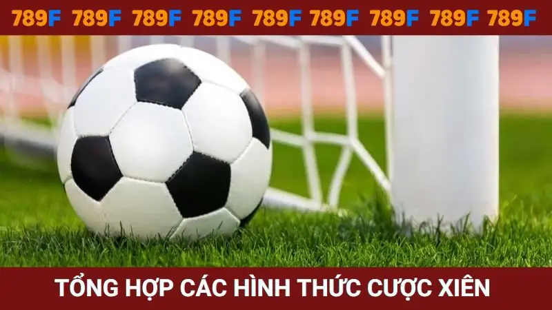 Tổng hợp các hình thức chơi cược xiên mới nhất